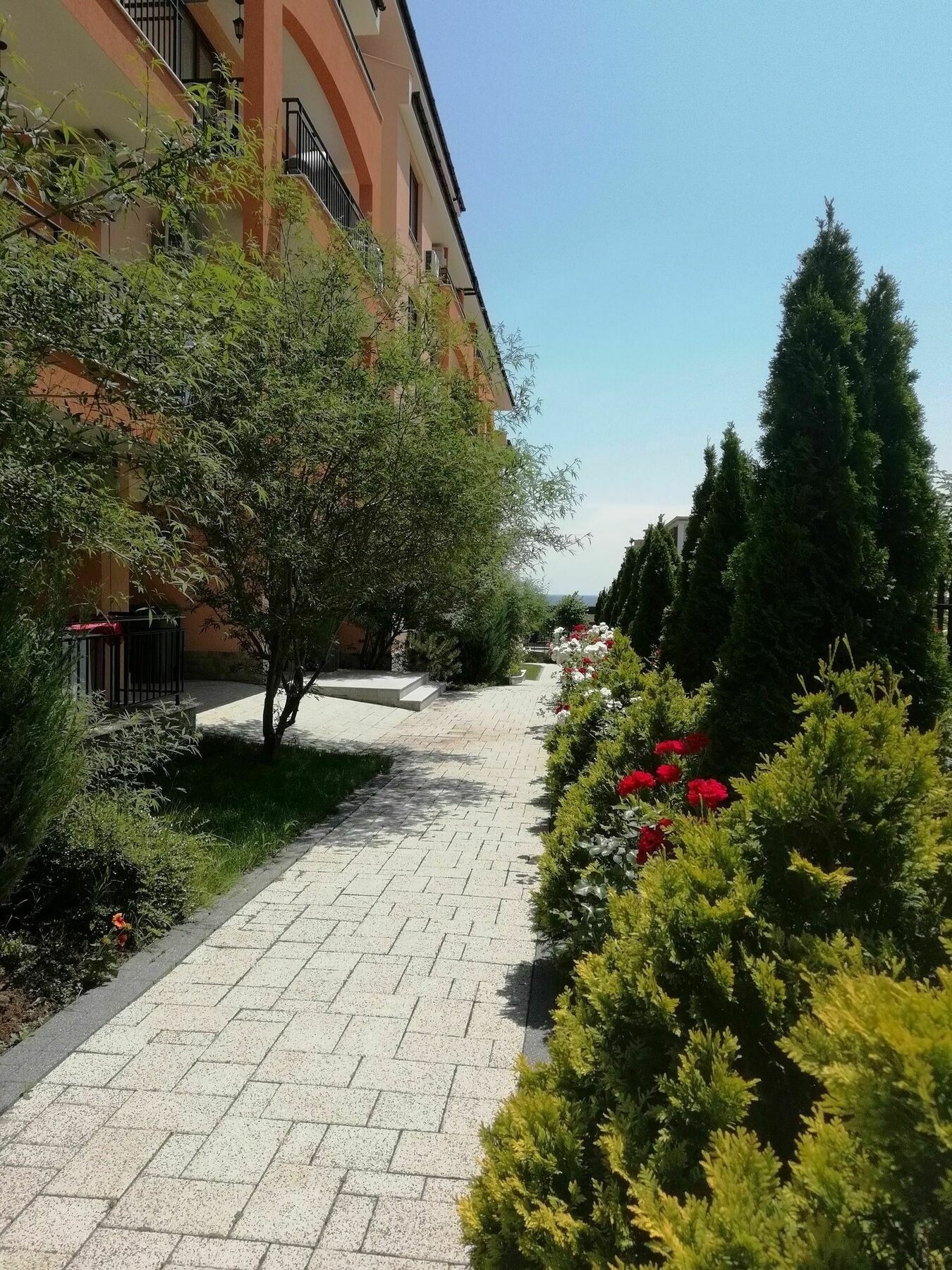 Stardreams Apartments Sveti Vlas Dış mekan fotoğraf